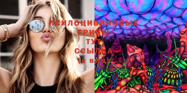 прущая мука Арсеньев