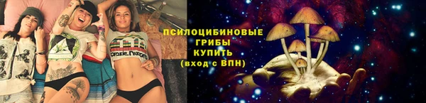 шишки Армянск