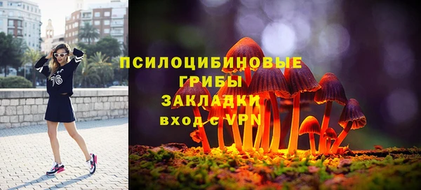 шишки Армянск
